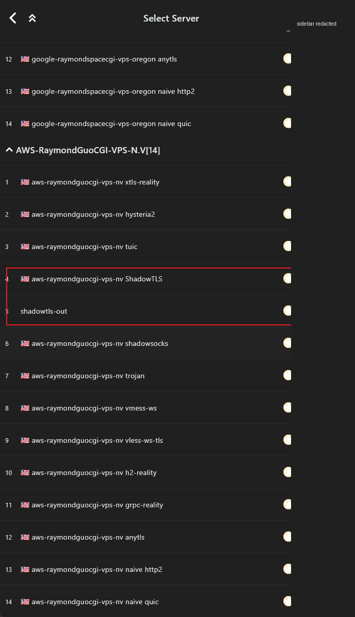 Karing 中 AWS 节点已从内网 hostname 改为 VPS 名称，侧边栏已打码